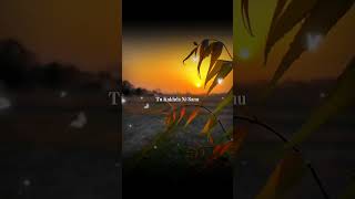 Ishqa Ve - Zeeshan Ali | "Ishqa Ve Chadeya Tu Kakh Da Ni Sanu" (Lyrical) |Aesthetic |#Shorts