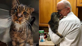 Weterynarz przytula 15letniego kota i wtedy dzieje się coś niezwykłego