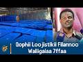 Qophii Loojistikii Filannoo Waliigalaa 7ffaa