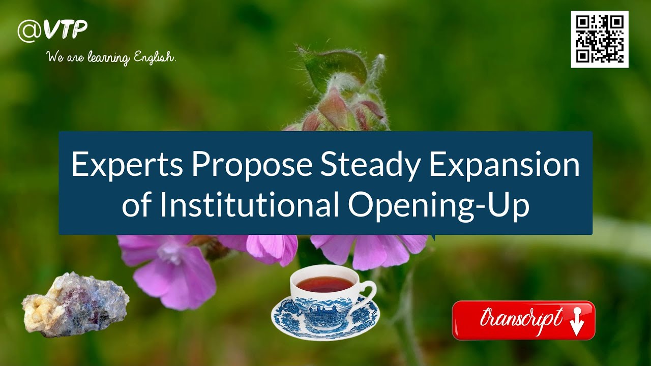 Experts Propose Steady Expansion of Institutional Opening-Up
