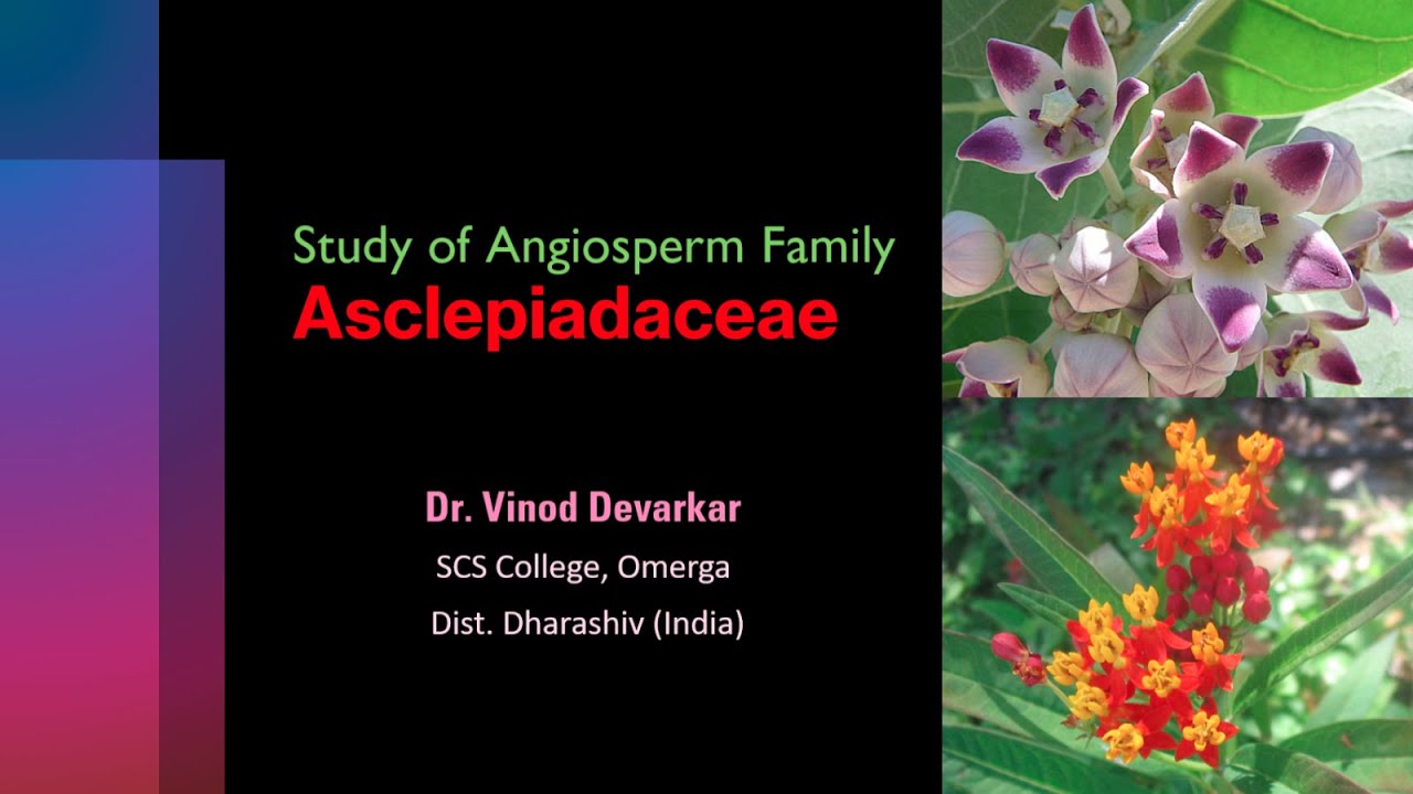Study of Family Asclepiadaceae by Dr. V. D. Devarkar