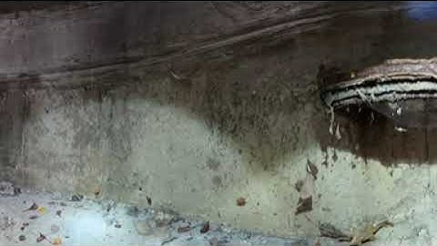 360 Degree Manhole Inspection Test 1