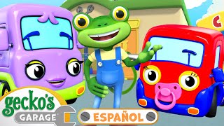 Conoce al camioncito | Garaje de Gecko en Español | Dibujos animados