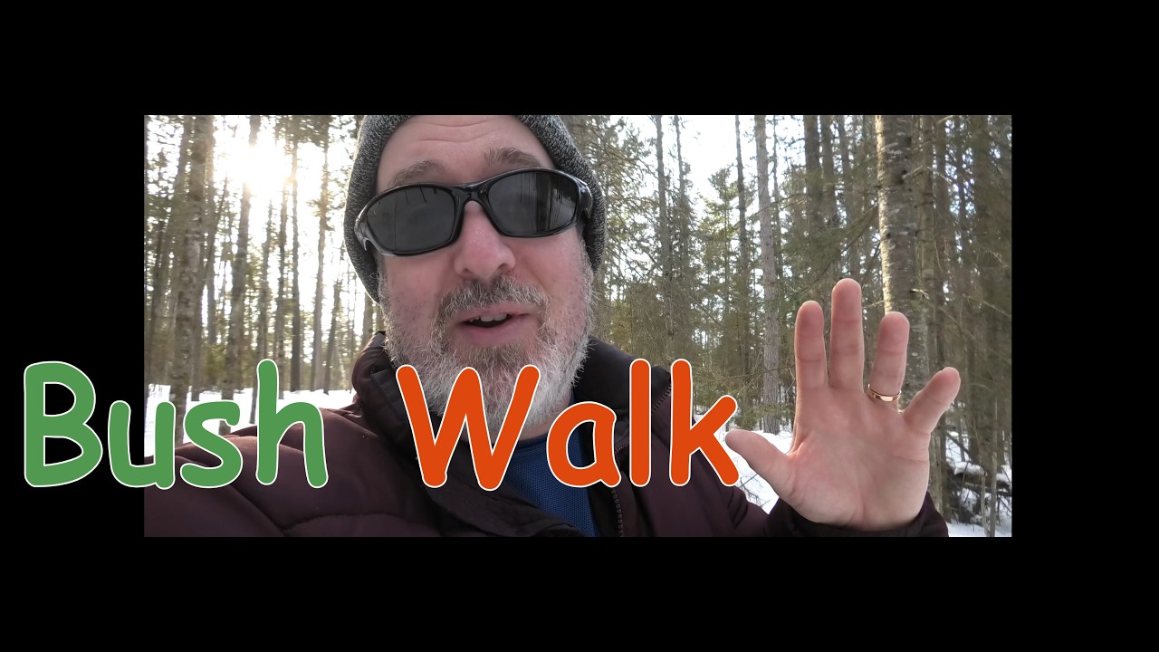 Обновление канала - Прогулка по лесу и еще 2 записи EVP.