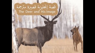 قصة إنجليزية مترجمة قصيرة وسهلة للمبتدئين | Learn English