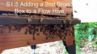 S1:5 Inspection Day - Adding 2nd Brood Box to Flow Hive
