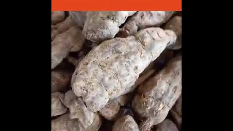 Nguyên liệu đầu vào để sản xuất Hà Thủ Ô Đỏ Hường Nguyễn