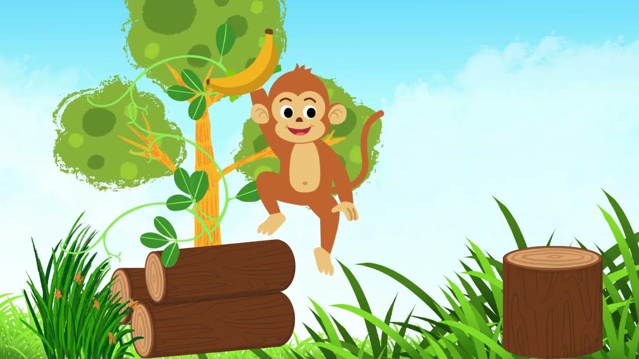 Fun Animals | Monkey and Squirrel | Fun Learning for Kids