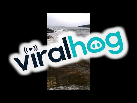 The Awkward Mermaid || ViralHog