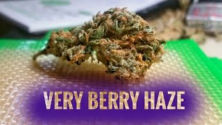 Strain Review - Vbh - Very Berry Haze