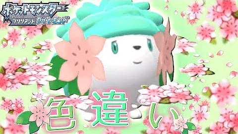 色違いしぇいみ Mp3