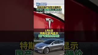 國產車特斯拉tesla model 3 model y 大幅度降价,tesla model 3 model y sharply cut prices