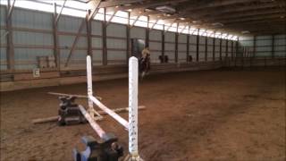 Pam Lerch May 2016 Equestian