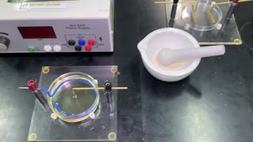 Demonstrating electric field patterns using oil and semolina