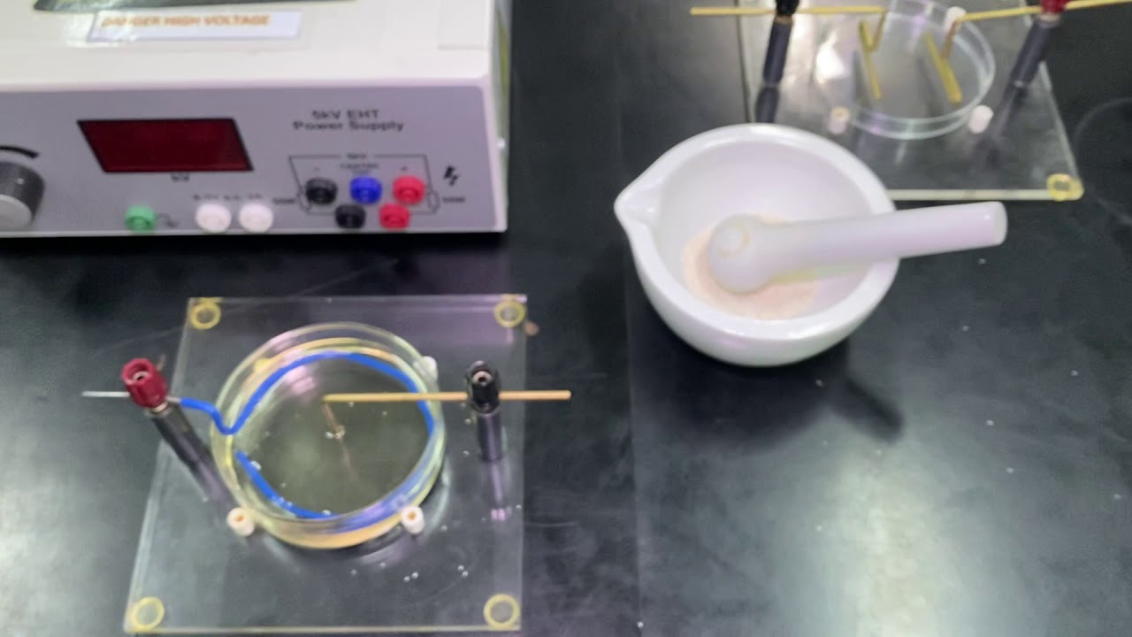 Demonstrating electric field patterns using oil and semolina