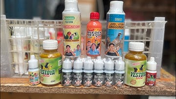 FULL STOK!BONGKAR FULL BURUNG OPIOR JAMBUL, MURAI TROROL, SRDC BALI, KONIN,PLECI PACITAN FULL DLL