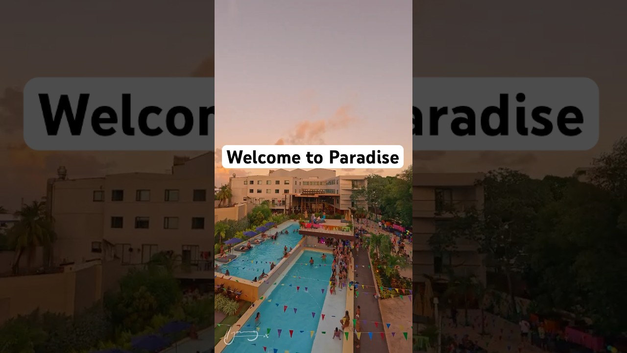 ¿Viajas a San Andrés? 🏝️ Come Stay at Dreamer Beach Club!