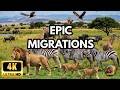 EPIC MIGRATIONS: The Greatest Journeys on Earth | Full Wildlife Documentary [4K]