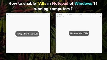 How to enable TABs in Notepad of Windows 11 running computers ?