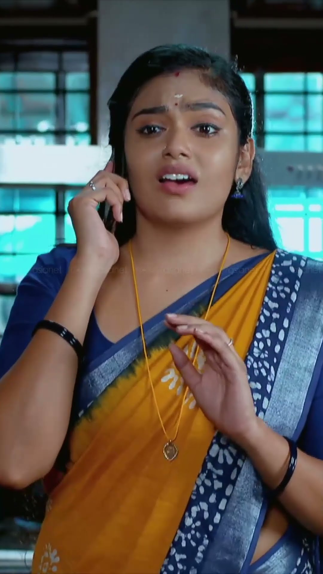 #ChempaneerPoovu വിവരങ്ങൾ അച്ഛമ്മയെ അറിയിച്ച് രേവതി