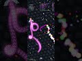 Slither.IO Gameplay 63