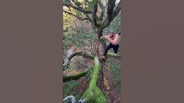Real-Life Tarzan Shocks Amazon Forest!  🌴🦍 How  MASTERED Superhuman Tree Skills #amazonianforest