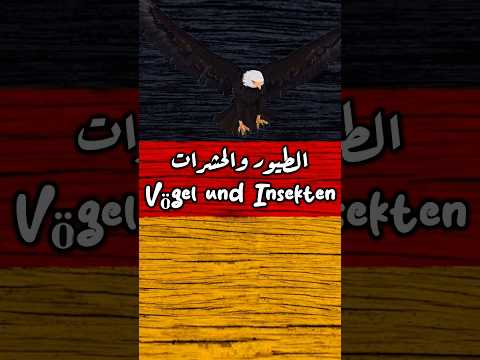 الطيور والحشرات بالألمانية    تعلم اللغة الالمانية تعلم تعليم