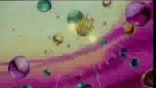 DragonBall Z - Firefly