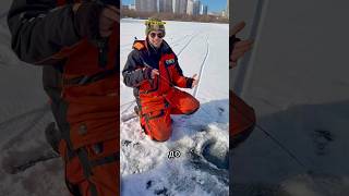 Проводки для ловли судака #рыбалка #спиннинг #судак