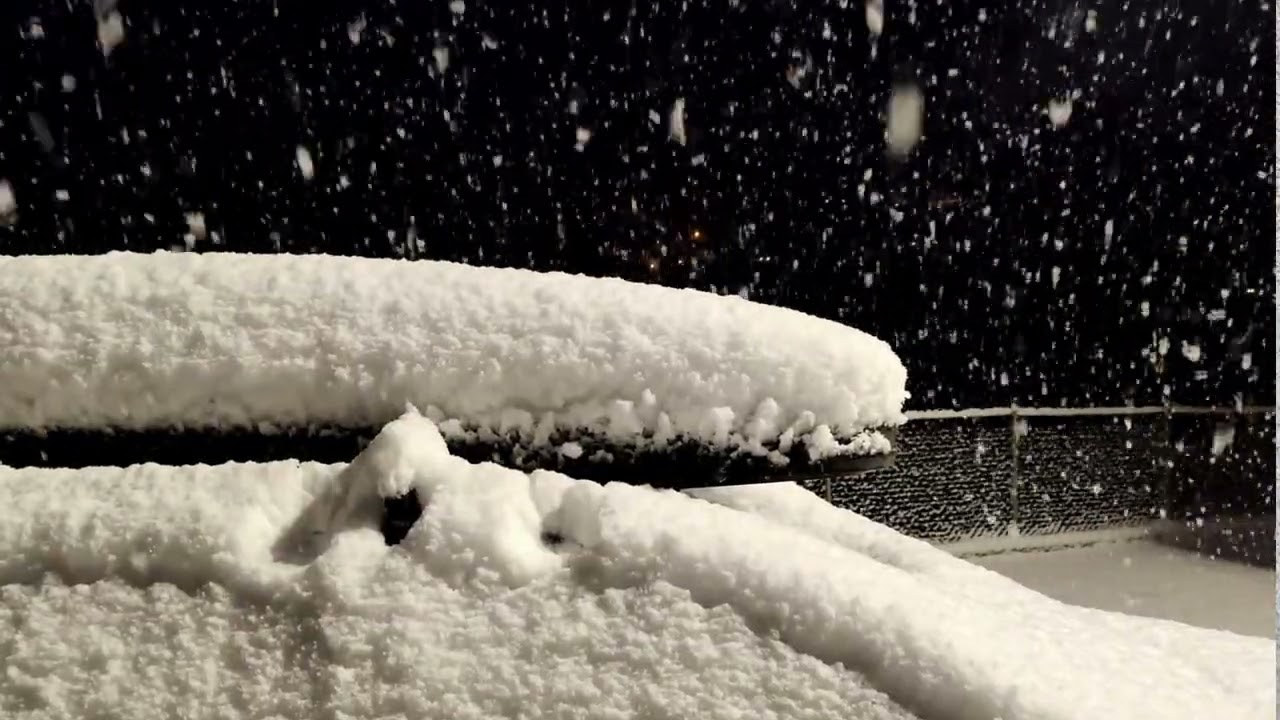 AK Garages: The Garage at Lake Otis - Classic Cars