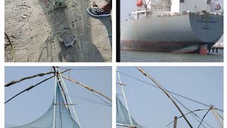 Fort Kochi fishing and Chinese net video | Catching Fish by Cast net | Net fishing