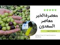 معصرة الخير - شمال الأردن زيت زيتون  Olive Mill in Northern Jordan