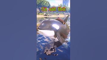 Bắt gặp cá voi sát thủ giữ biển. #shorts #ark