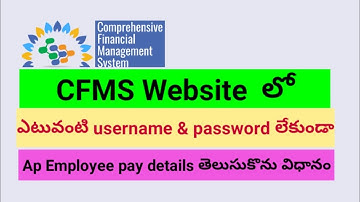 HOW TO KNOW EMPLOYEE PAY DETAILS || WITHOUT CFMS LOGIN