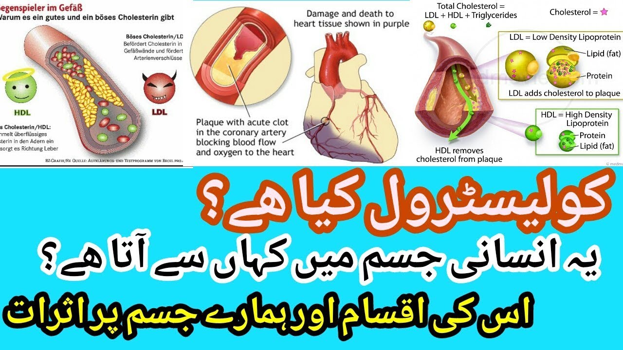 What is cholesterol in Hindi what cholesterol does to your body in