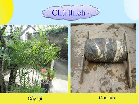 Tập đọc: Quang cảnh làng mạc ngày mùa