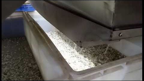 middle size quartz stone color sorting machine 201702 Summer +8618655954627