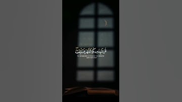 من سورة البقرة بصوت القارئ خالد الجليل | حالات واتس اب قرآن (شهر رمضان)