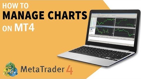 How To Manage Charts on MT4 | Forex Tutorials For Beginners