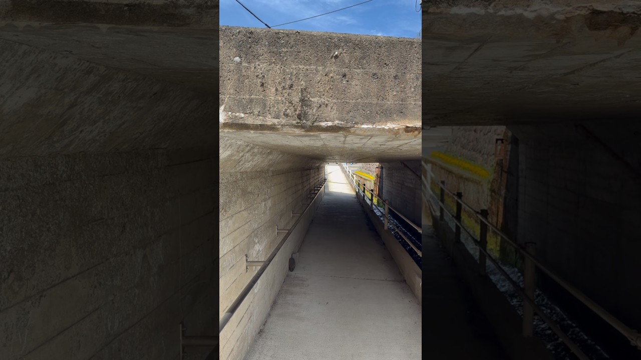 頭打ちそう　新庄村の地下道　#Shorts