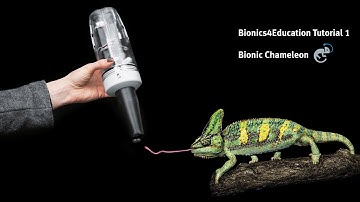 Tutorial 1 Bionics4Education – Grasping with the Bionic Chameleon