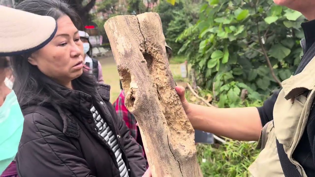 2026/1/16pm2~5本學期最後一堂課由陳超仁、馬復京兩位老師幫我們學員作一次完整導覽韌性都市林！從孔隙區（多樣性的種植引來多種動植物）讓整個生態活潑起來！四個灌叢的不同及落葉歸根、豆梨的昨日今