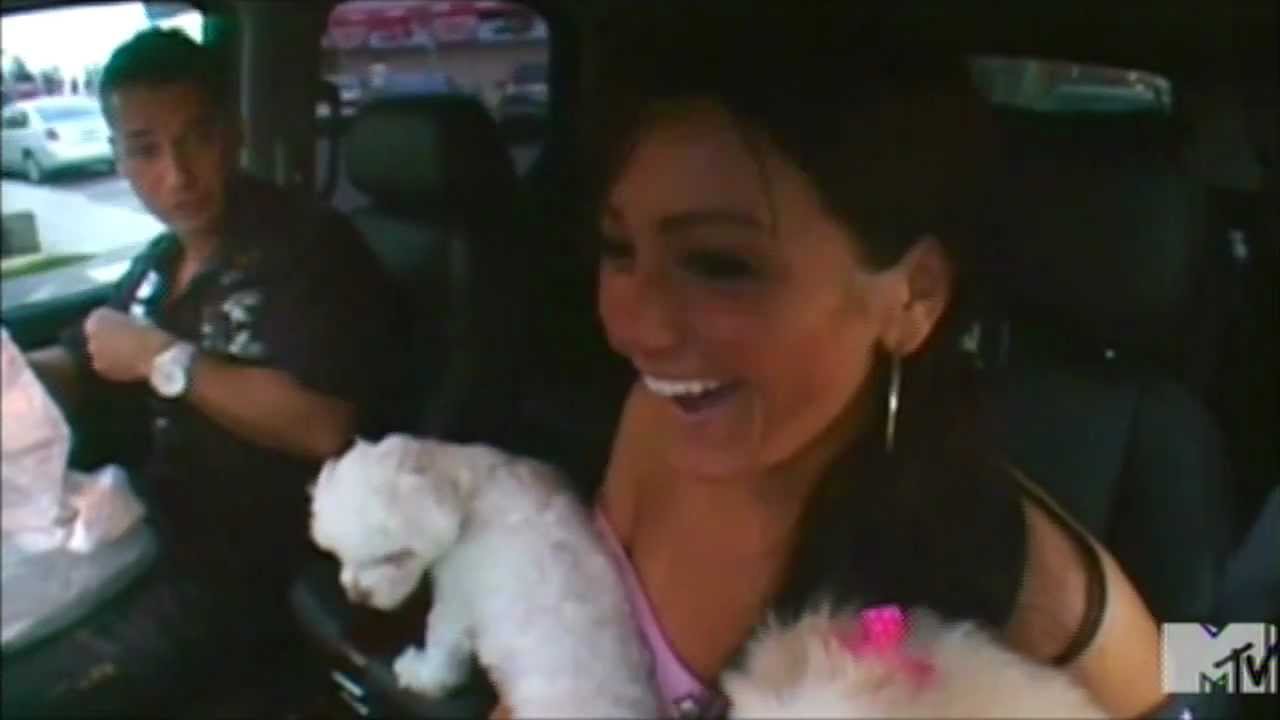 Jersey Shore Mike gets bitten by Jwowws dog! HILARIOUS.