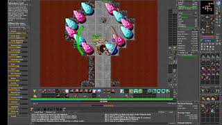 Tibia - Cyclopolis - Bestiary (Cyclops) Edron - Monk Lv81 - Skills 90/62 - Charm Points 1322.