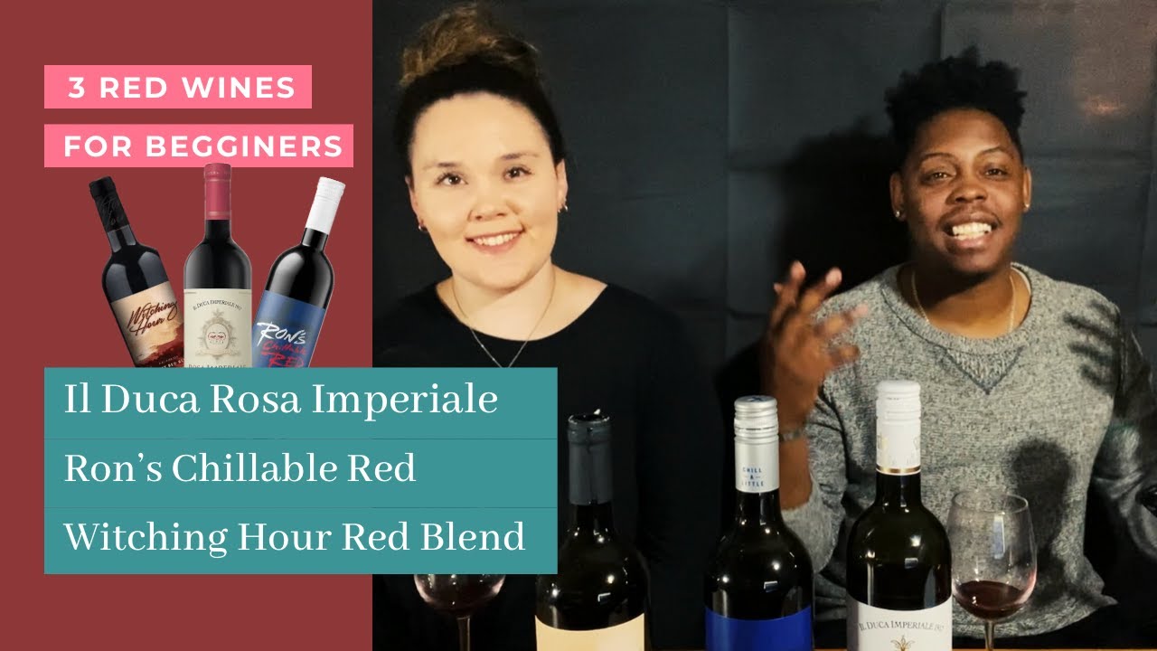 Red Wine Review For Beginners Under 15 Youtube Red Wine Review For Beginners Under 15 Youtube