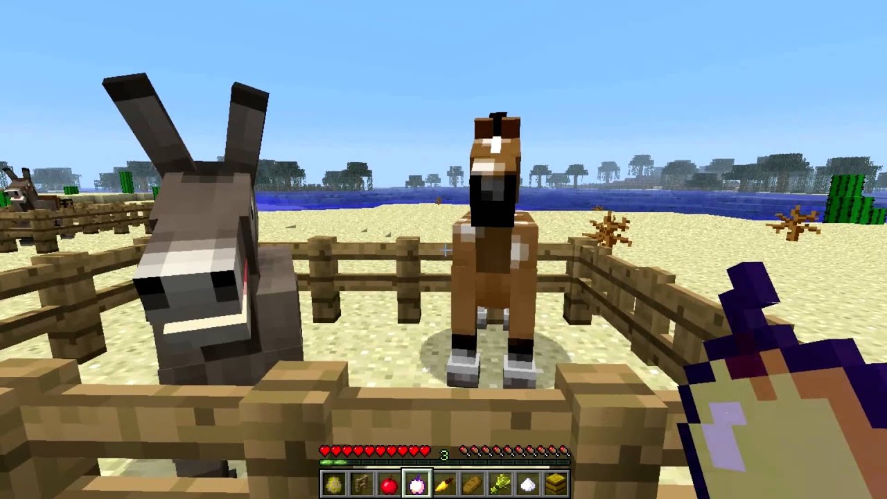 Minecraft Horses - What to Feed Minecraft Horses 1.6.2 - YouTube