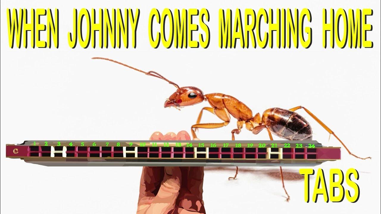 How to Play When Johnny Comes Marching Home on a Tremolo Harmonica with