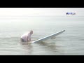 Първи стъпки в падъл борда