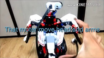 LEGO Mindstorm EV3 two-leg walking robot -LAVA REX-