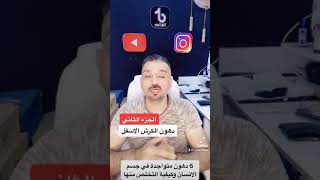 ٦ دهون في جسم الانسان || دهون اسفل البطن .. الجزء الثاني